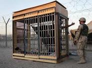 Правительства 54 стран были пособниками ЦРУ в пытках заключенных